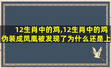 12生肖中的鸡,12生肖中的鸡伪装成凤凰被发现了为什么还是上榜了