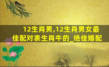 12生肖男,12生肖男女最佳配对表生肖牛的_绝佳婚配