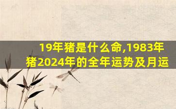 19年猪是什么命,1983年猪2024年的全年运势及月运