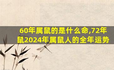 60年属鼠的是什么命,72年鼠2024年属鼠人的全年运势