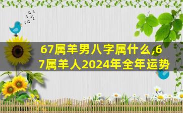 67属羊男八字属什么,67属羊人2024年全年运势