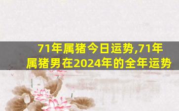 71年属猪今日运势,71年属猪男在2024年的全年运势