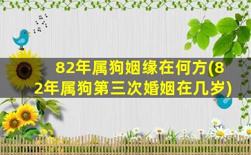 82年属狗姻缘在何方(82年属狗第三次婚姻在几岁)