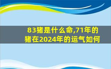 83猪是什么命,71年的猪在2024年的运气如何