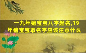 一九年猪宝宝八字起名,19年猪宝宝取名字应该注意什么