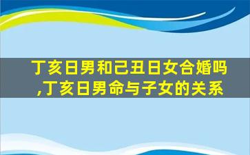 丁亥日男和己丑日女合婚吗,丁亥日男命与子女的关系