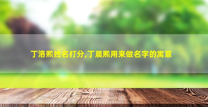 丁洛熙姓名打分,丁晨熙用来做名字的寓意