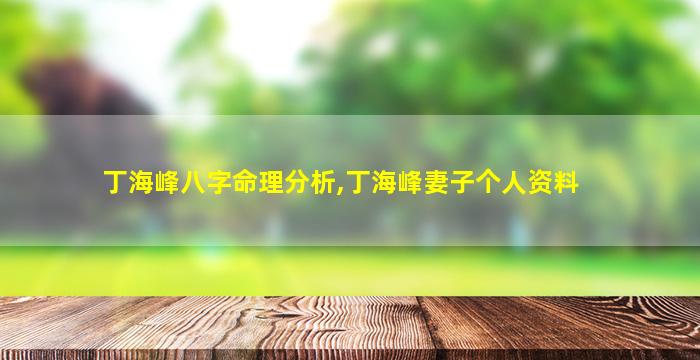 丁海峰八字命理分析,丁海峰妻子个人资料