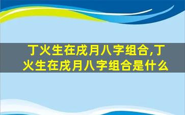 丁火生在戌月八字组合,丁火生在戌月八字组合是什么