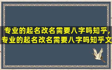 专业的起名改名需要八字吗知乎,专业的起名改名需要八字吗知乎文章