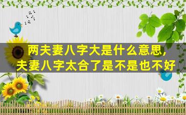 两夫妻八字大是什么意思,夫妻八字太合了是不是也不好