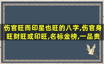 伤官旺而印星也旺的八字,伤官身旺财旺或印旺,名标金榜,一品贵人