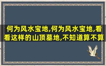 何为风水宝地,何为风水宝地,看看这样的山顶墓地,不知道算不算