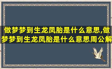 做梦梦到生龙凤胎是什么意思,做梦梦到生龙凤胎是什么意思周公解梦