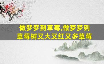 做梦梦到草莓,做梦梦到草莓树又大又红又多草莓