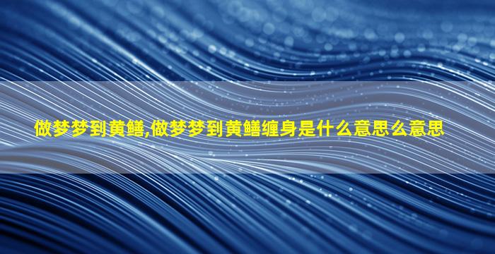 做梦梦到黄鳝,做梦梦到黄鳝缠身是什么意思么意思