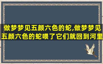 做梦梦见五颜六色的蛇,做梦梦见五颜六色的蛇喂了它们就回到河里了