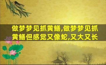 做梦梦见抓黄鳝,做梦梦见抓黄鳝但感觉又像蛇,又大又长