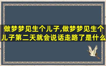 做梦梦见生个儿子,做梦梦见生个儿子第二天就会说话走路了是什么意思