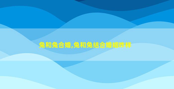 兔和兔合婚,兔和兔结合婚姻咋样