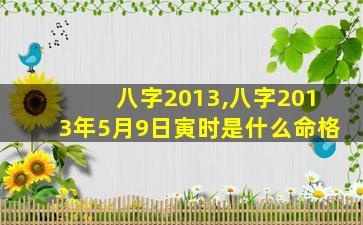 八字2013,八字2013年5月9日寅时是什么命格