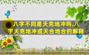 八字不同是天克地冲吗,八字天克地冲或天合地合的解释