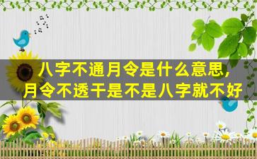 八字不通月令是什么意思,月令不透干是不是八字就不好