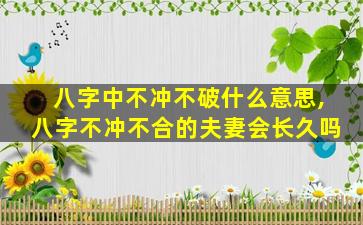 八字中不冲不破什么意思,八字不冲不合的夫妻会长久吗