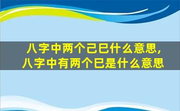 八字中两个己巳什么意思,八字中有两个巳是什么意思