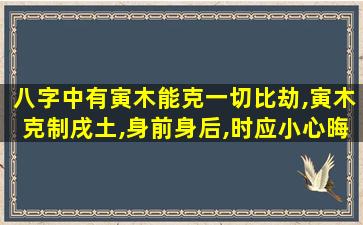 八字中有寅木能克一切比劫,寅木克制戌土,身前身后,时应小心晦气不开,每遇挫折