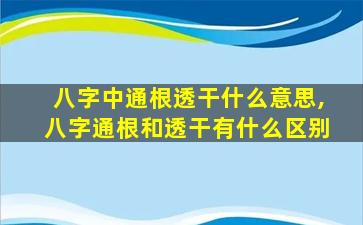 八字中通根透干什么意思,八字通根和透干有什么区别