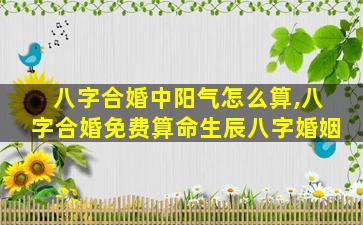 八字合婚中阳气怎么算,八字合婚免费算命生辰八字婚姻