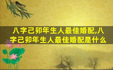 八字己卯年生人最佳婚配,八字己卯年生人最佳婚配是什么