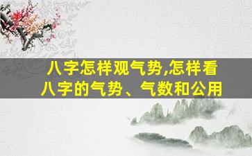 八字怎样观气势,怎样看八字的气势、气数和公用