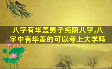 八字有华盖男子纯阴八字,八字中有华盖的可以考上大学吗