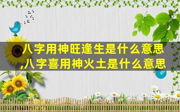 八字用神旺逢生是什么意思,八字喜用神火土是什么意思