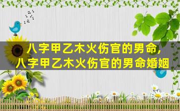 八字甲乙木火伤官的男命,八字甲乙木火伤官的男命婚姻