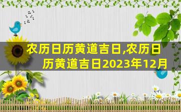 农历日历黄道吉日,农历日历黄道吉日2023年12月