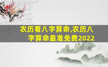 农历看八字算命,农历八字算命最准免费2022