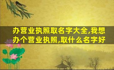 办营业执照取名字大全,我想办个营业执照,取什么名字好