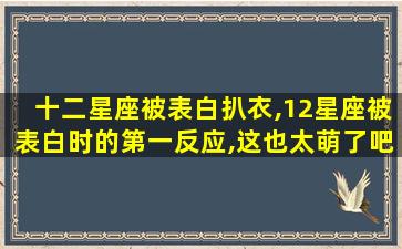 十二星座被表白扒衣,12星座被表白时的第一反应,这也太萌了吧