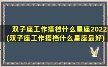 双子座工作搭档什么星座2022(双子座工作搭档什么星座最好)