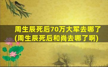 周生辰死后70万大军去哪了(周生辰死后和尚去哪了啊)