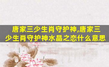 唐家三少生肖守护神,唐家三少生肖守护神水晶之恋什么意思