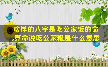 啥样的八字是吃公家饭的命,算命说吃公家粮是什么意思