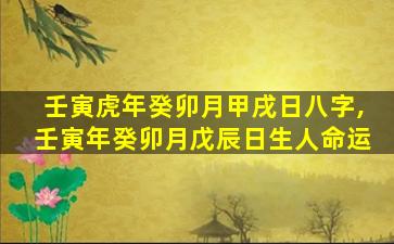 壬寅虎年癸卯月甲戌日八字,壬寅年癸卯月戊辰日生人命运