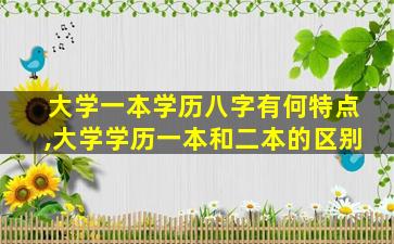 大学一本学历八字有何特点,大学学历一本和二本的区别