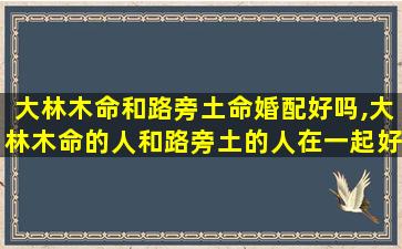 大林木命和路旁土命婚配好吗,大林木命的人和路旁土的人在一起好吗