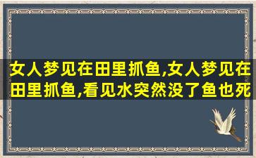 女人梦见在田里抓鱼,女人梦见在田里抓鱼,看见水突然没了鱼也死了很多