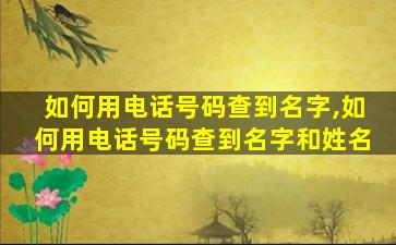 如何用电话号码查到名字,如何用电话号码查到名字和姓名